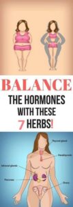 7 Natural Ways To Balance Your Hormones